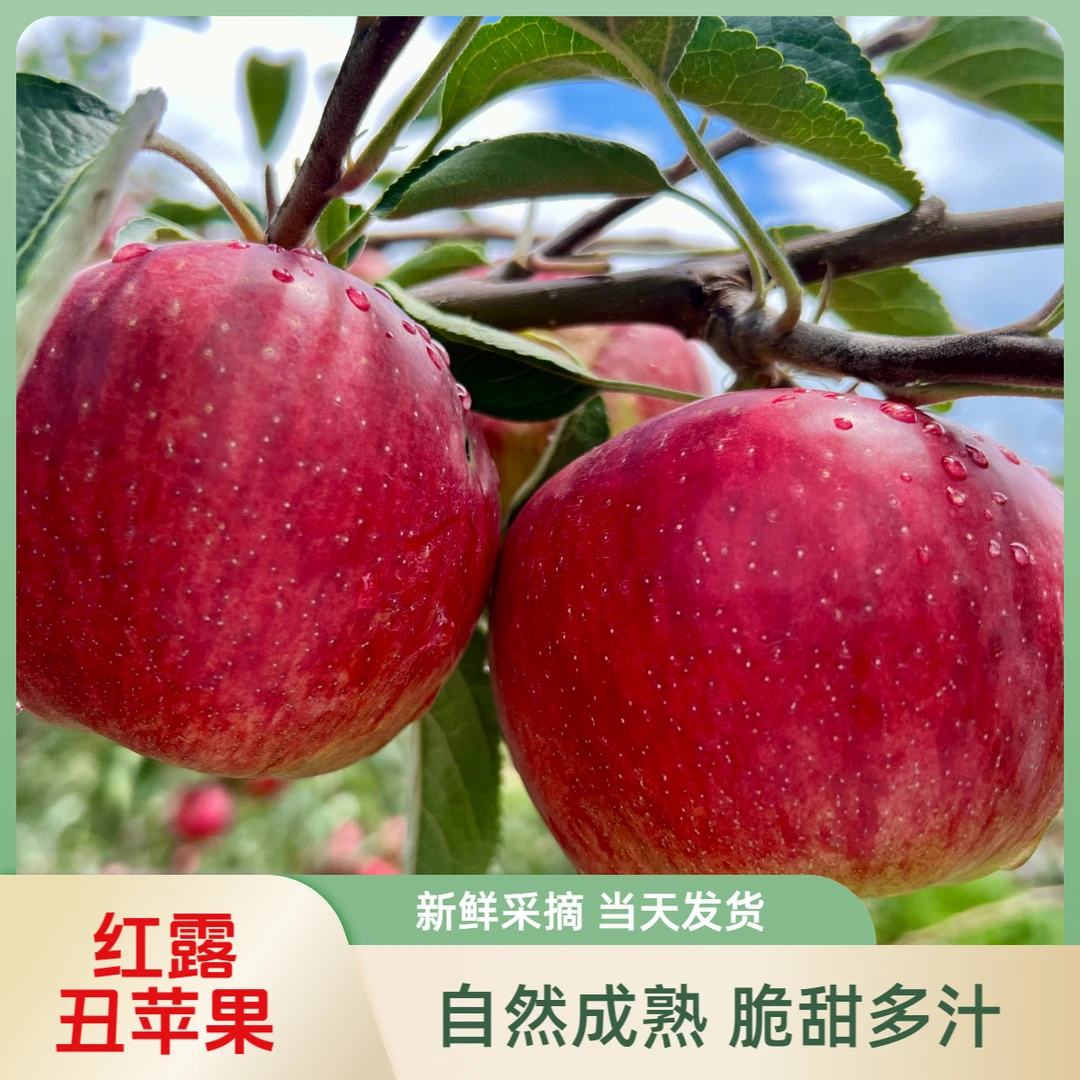 【送货上门】正宗云南高原红露冰糖心丑苹果应季新鲜水果精选品质