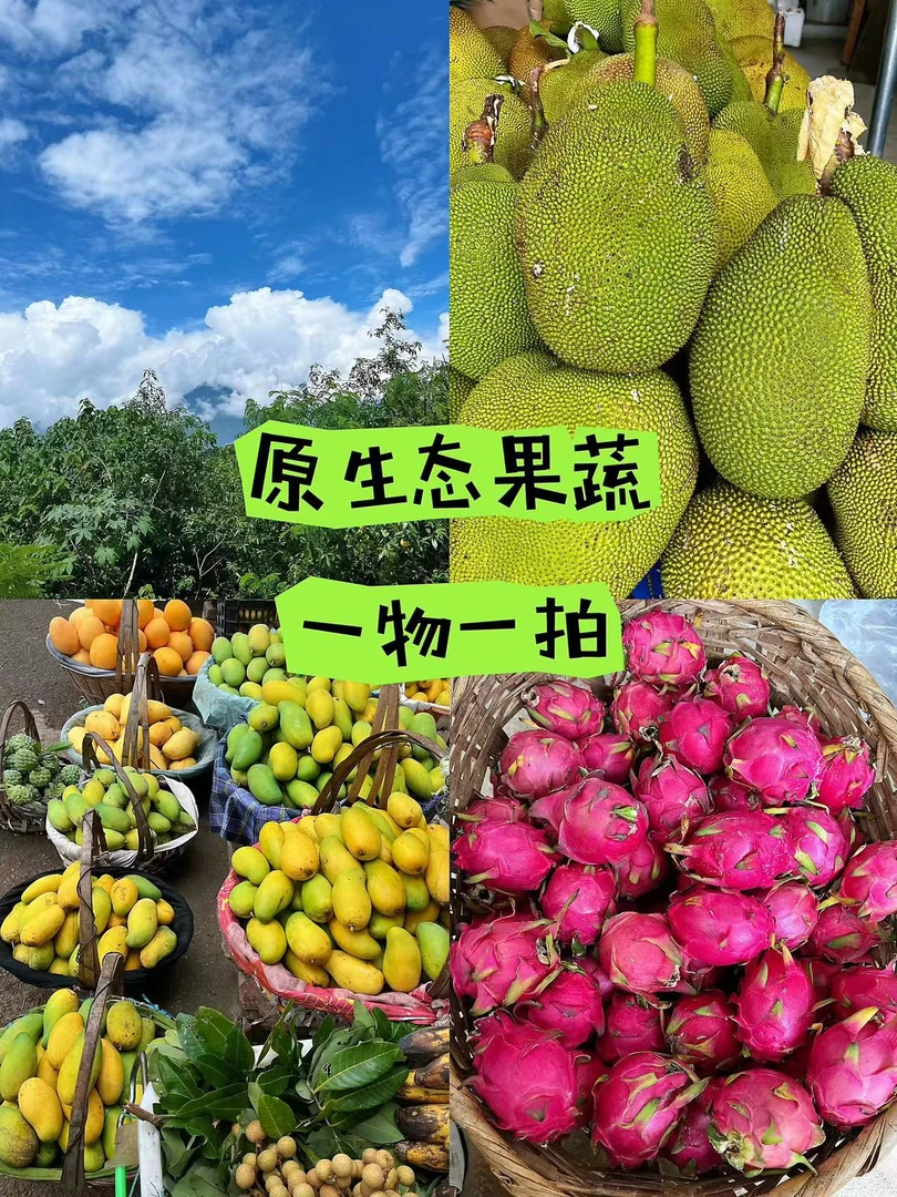 一号临时链接云南高山新鲜应季果蔬通用