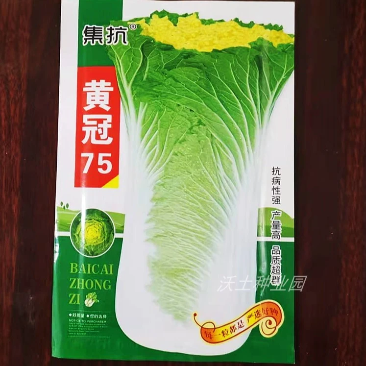高产抗病黄心高桩大白菜种子黄冠75好吃好卖腌渍酸菜农户东北