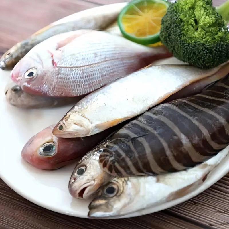 海捕鲳鱼鲅鱼杂鱼新鲜 连云港发货食用 净含量1500克