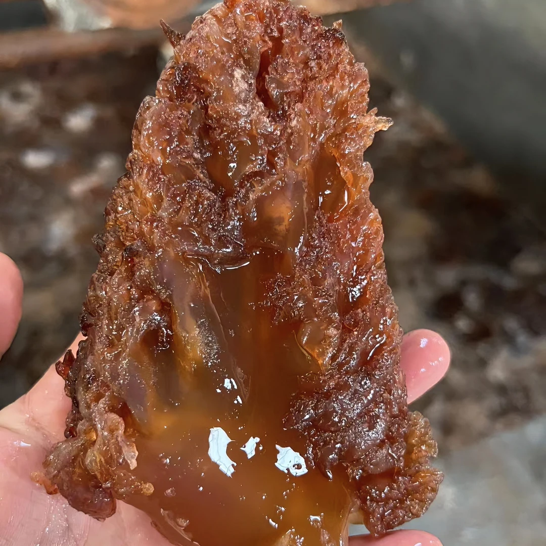 纯野生海捕海蜇皮、海蜇爪 爽脆鲜甜食用连云港发货净含量3斤 淡盐