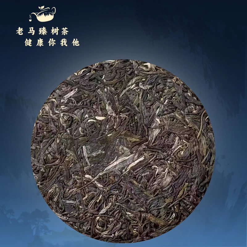 老马臻树  私藏 2021年砍盆箐357g