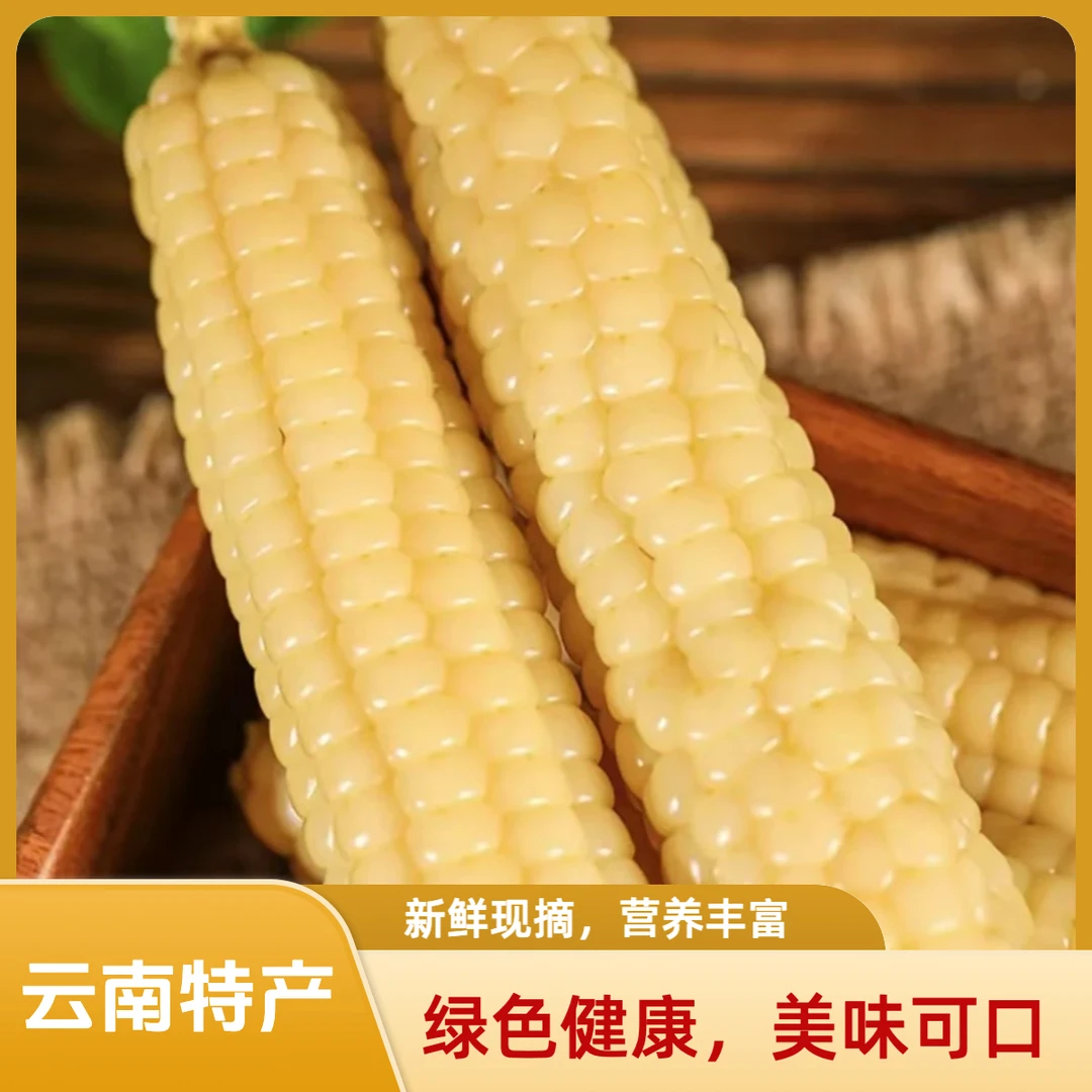 云南特产西双版纳拇指小玉米 真空装
