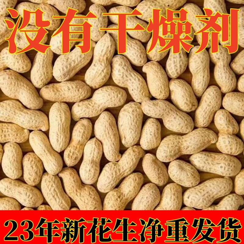 2023年新货花生铁锅炒花生原味花生熟花生带壳花生熟花生米坚果