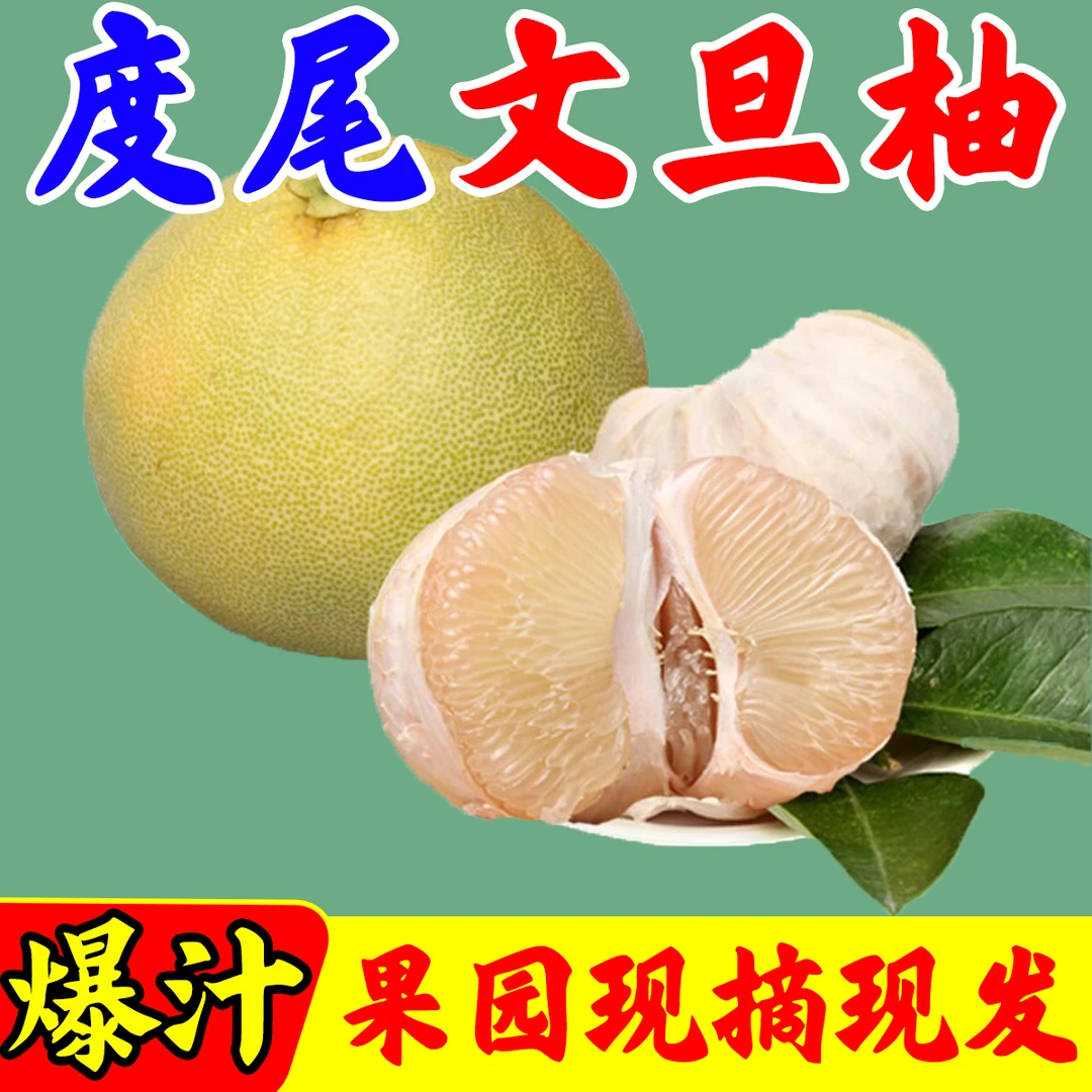 超值老树有孔好果正宗福建仙游度尾文旦柚子新鲜现发果园批发h
