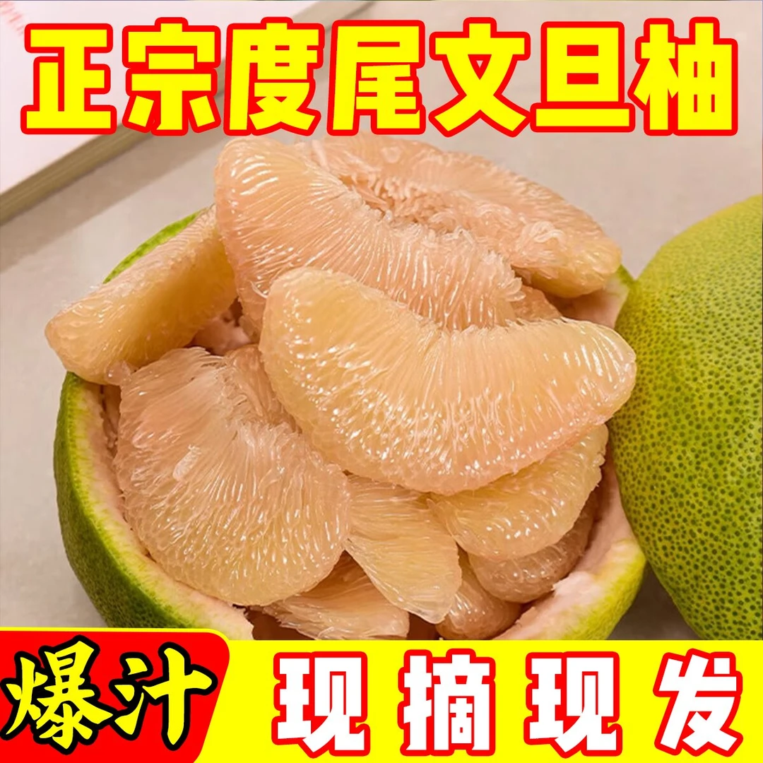 【精品底部无孔果】正宗福建仙游度尾文旦柚子果园现摘现发新鲜水果