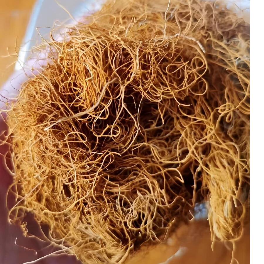 【娜金山货】（金丝雪茶）【高山好物】可搭配枸杞泡饮