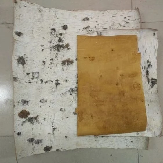 桦树皮天然树皮白色树皮树皮材料白桦皮真树皮工艺装饰艺术品装饰