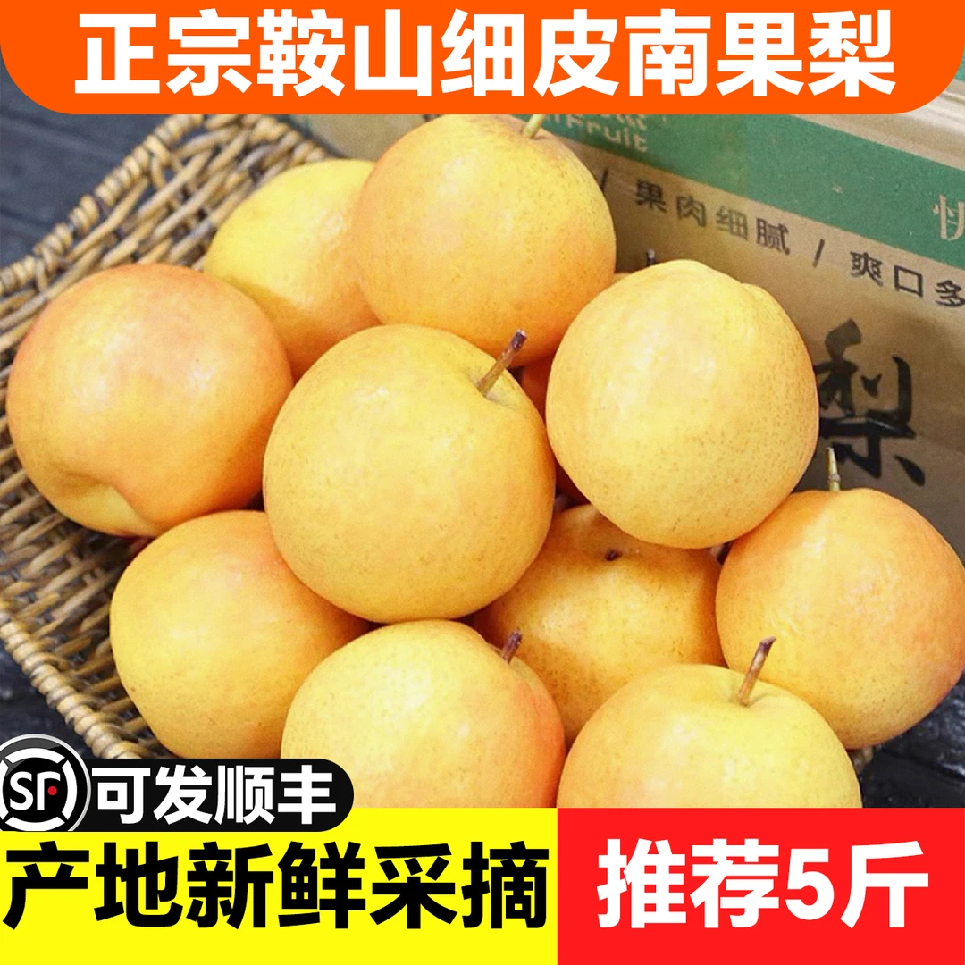 正宗鞍山南果梨细皮多汁味道正宗孕妇新鲜水果南国梨老品种香水梨