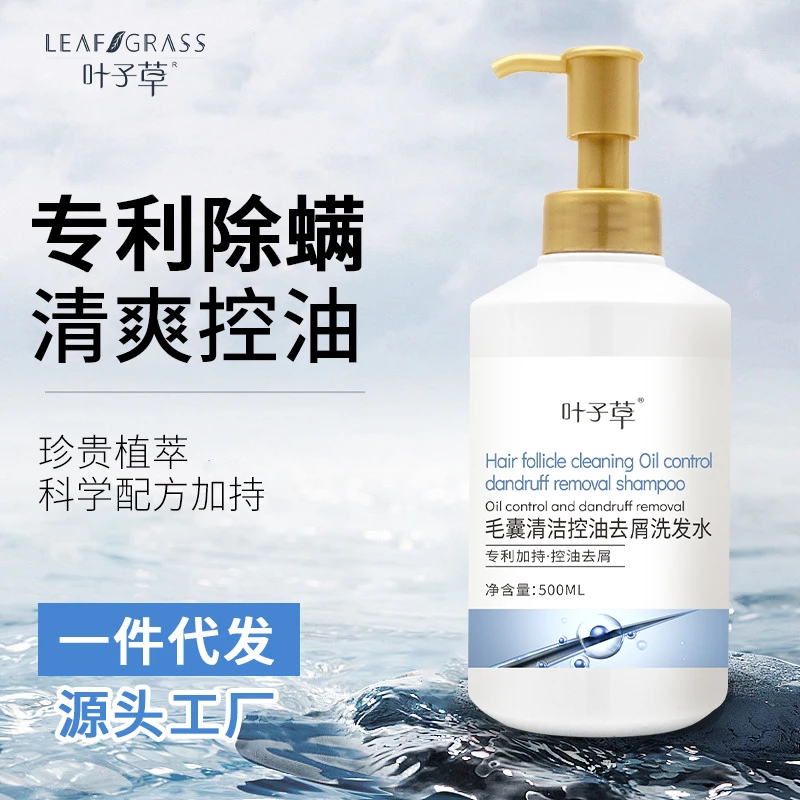 【拍一发二】叶子草毛囊控油去屑洗发水深层清洁除螨改善发质家庭装
