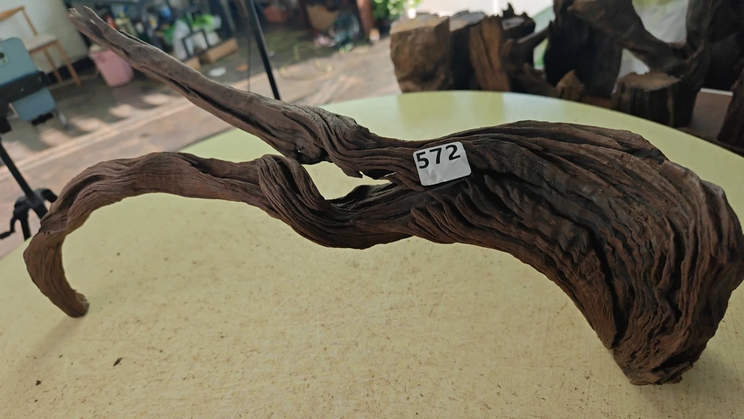 云南本地紫柚木秒沉572