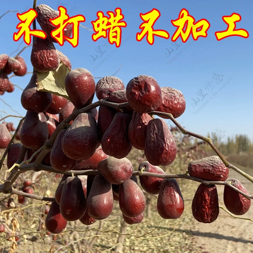 新疆和田大枣枣王超特混装 六七八成干  软糯香甜