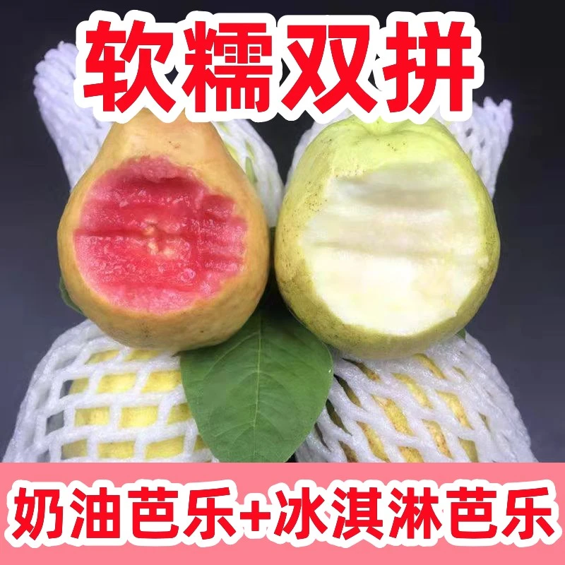 【顺丰包邮】福建黄金水果奶油白心芭乐冰淇淋番石榴香甜低热量水果