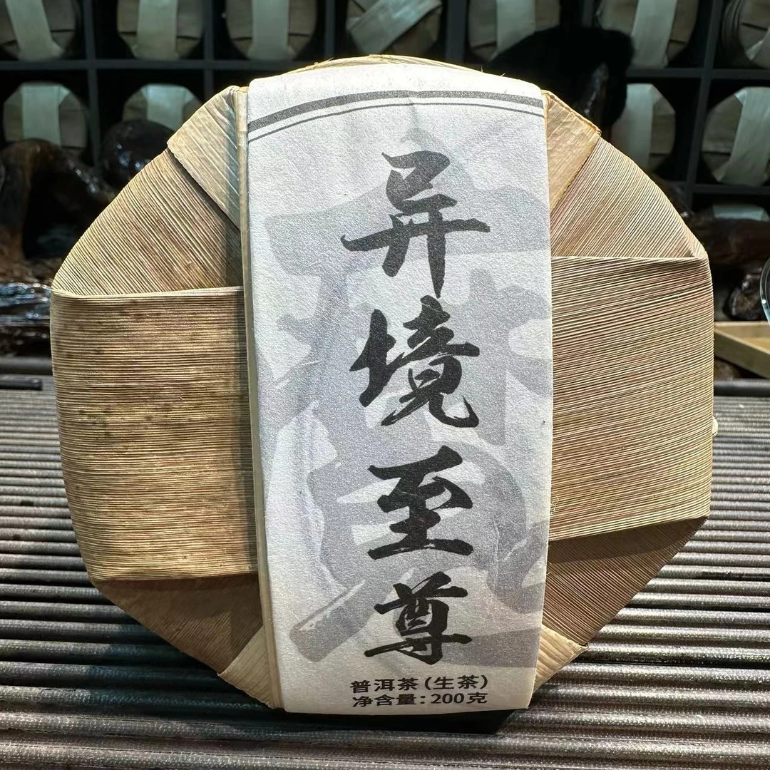 异境至尊·2024年头春 生茶 饼茶