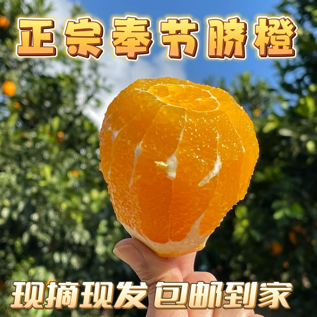 【秀秀   顺丰快递】重庆奉节脐橙 顺丰快递 汁多爽口脆嫩化渣