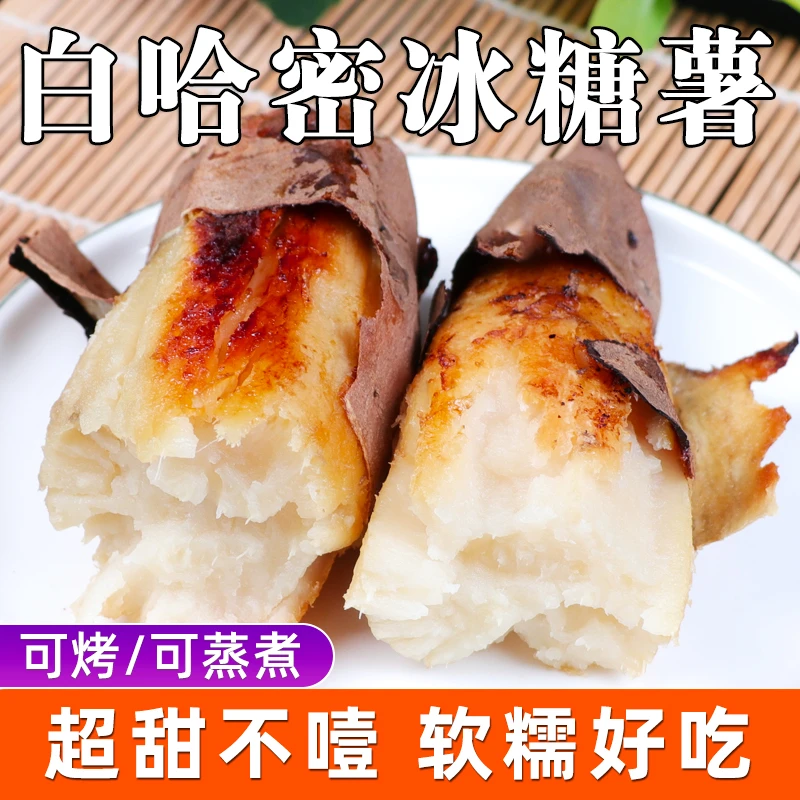 【鲜彤】山东白哈密冰糖薯新鲜白心蜜薯超甜红薯番薯农家地瓜5斤