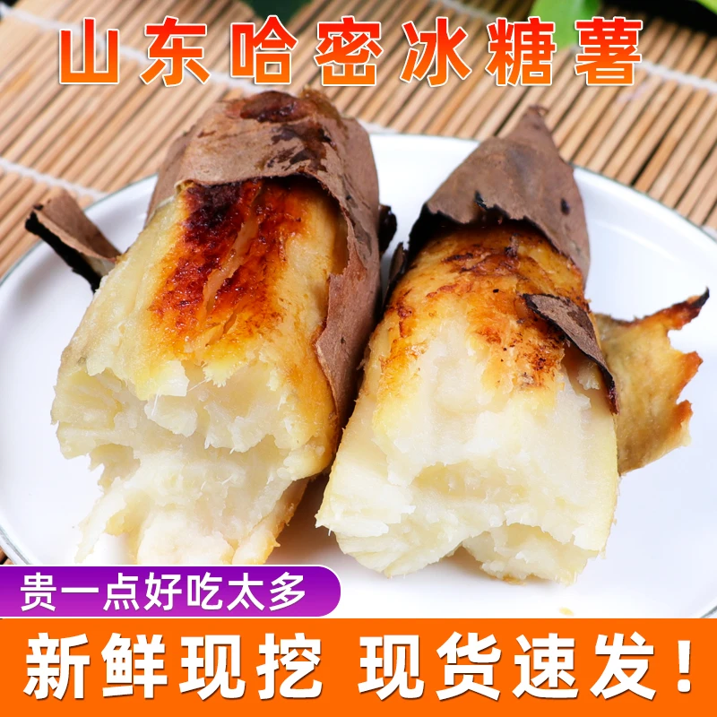 山东白心红薯新鲜哈密冰糖薯3斤地瓜板栗薯香甜软糯沙地哈蜜薯