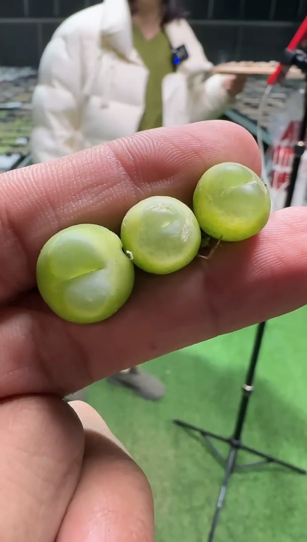 【闪购商品】10-4拉登（微瑕）一个一组