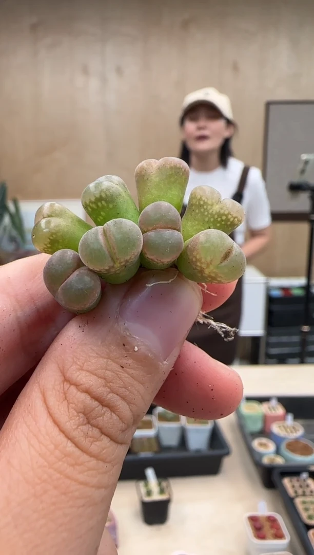【闪购商品】20-32 QQ糖一个一组