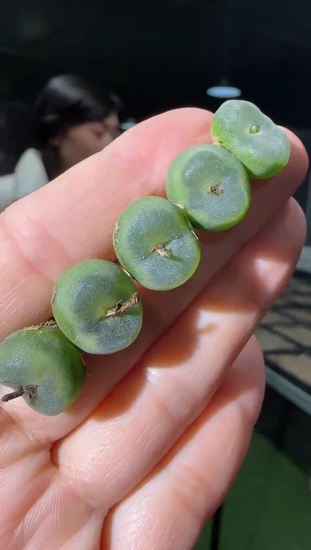 【闪购商品】31-6水晶鞋一个一组