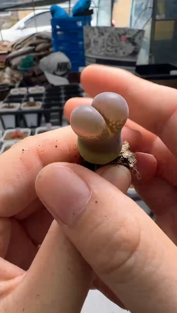 【闪购商品】17-22