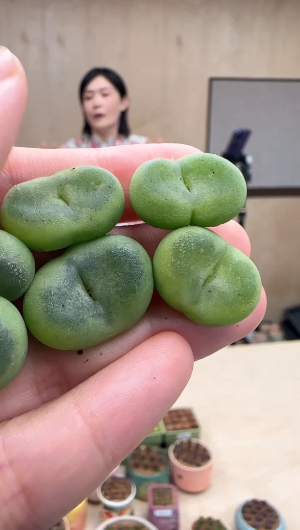 【闪购商品】18-1水晶鞋一个一组