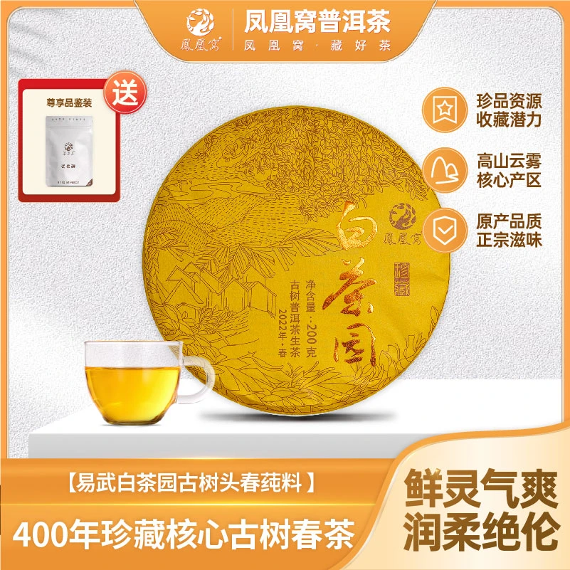 白茶园易武核心森林秘境400-500年古树头春2022年普洱生茶