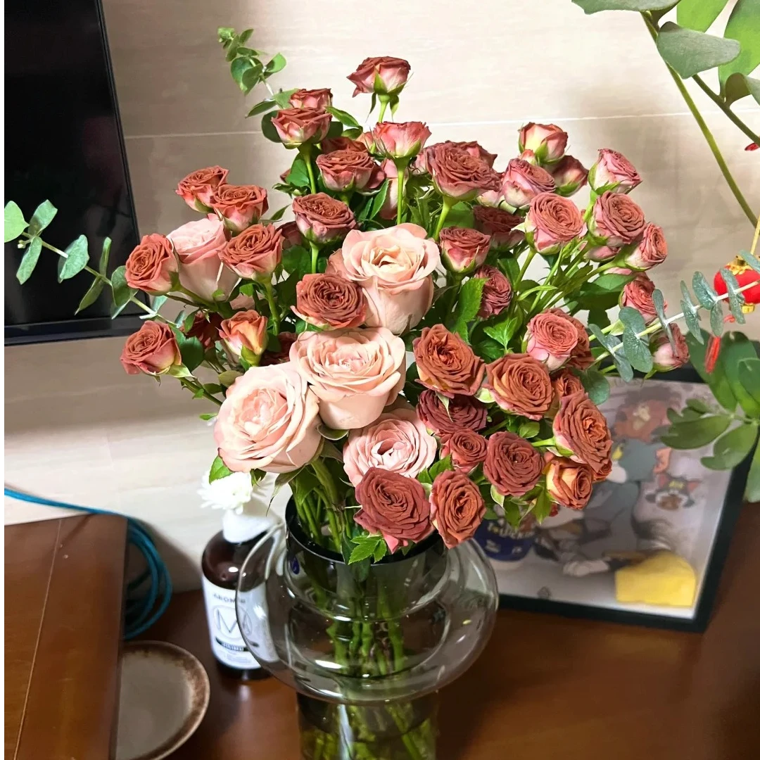 【满两单发空运】卡布奇诺玫瑰20枝＋巧克力多头玫瑰10枝两单上空运