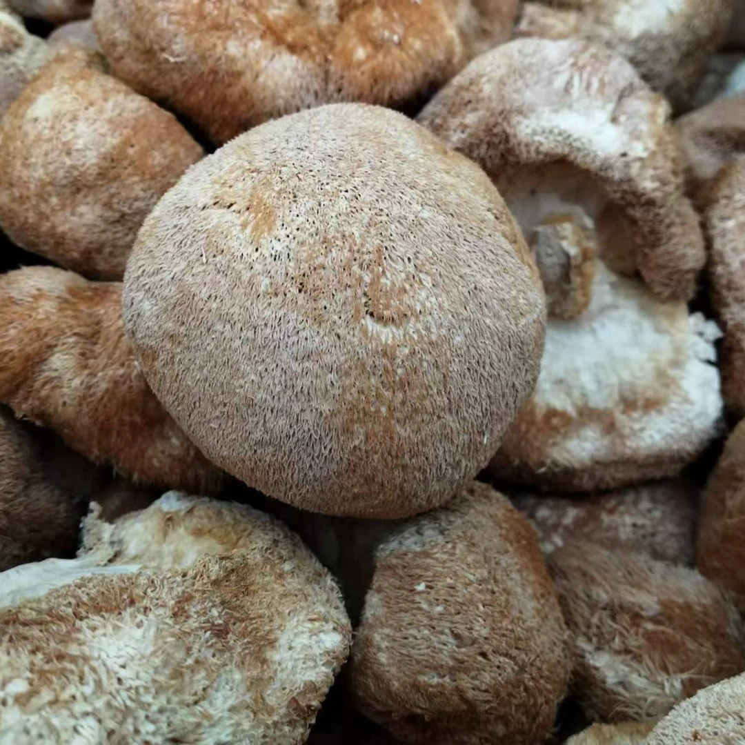 【年货节】猴头菇半斤装 250g