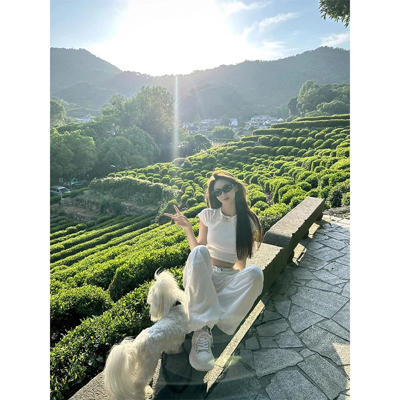 2025早秋新款简约时尚正肩短款收腰T恤辣妹上衣高腰直筒阔腿裤女