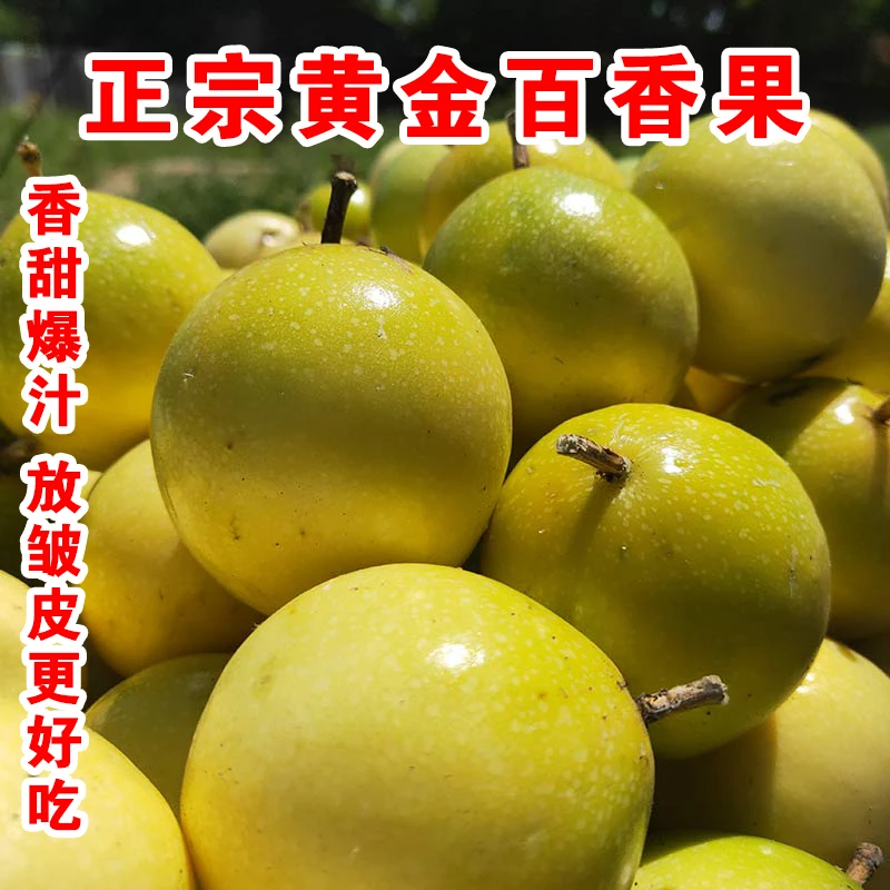 抢福利黄金百香果钦蜜九号自然生长香味浓郁甜蜜皱皮更甜