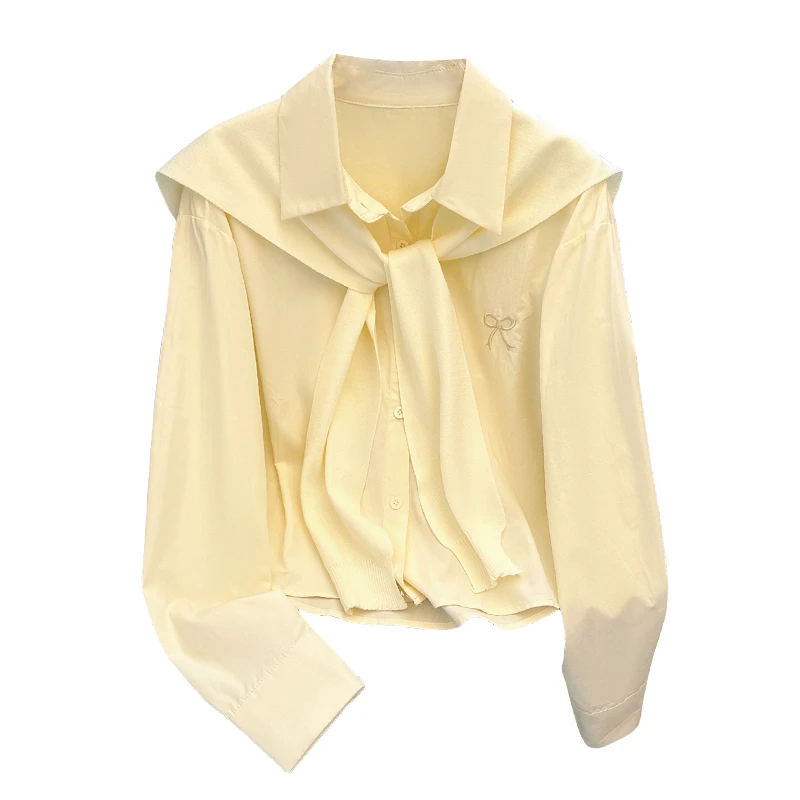 2025春秋新款减龄设计感小众披肩衬衫女小个子蝴蝶结刺绣长袖上衣