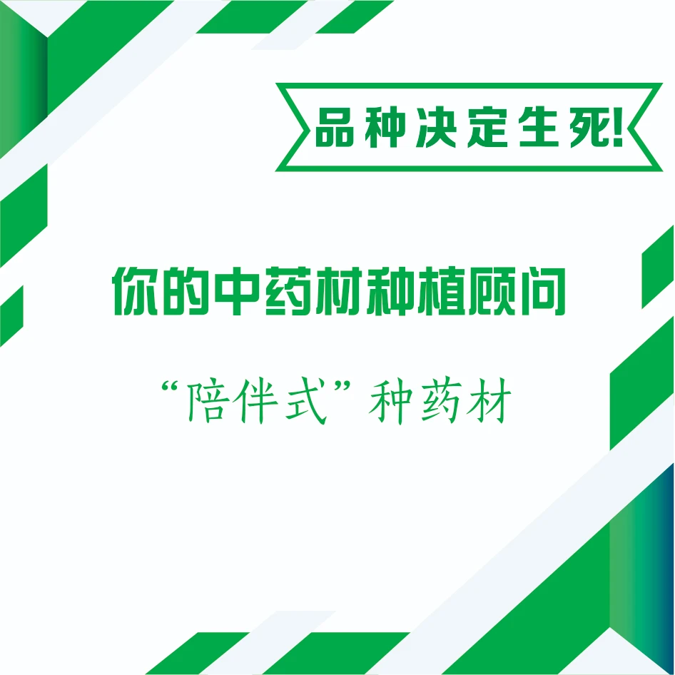 你的中药材种植顾问