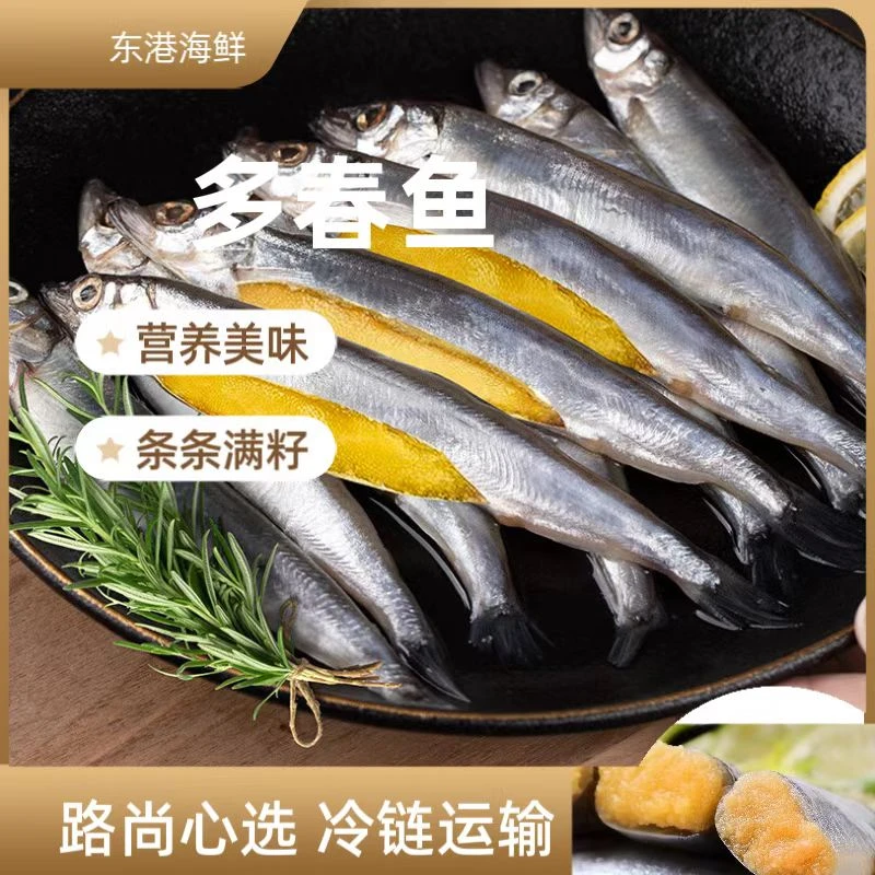 新鲜海捕多春鱼 条条满籽 顺丰包邮