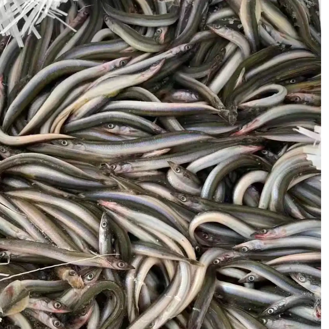 东港黄海银鱼 沙里钻三斤顺丰包邮