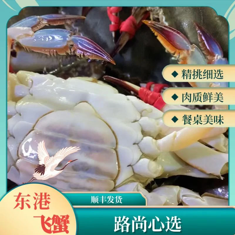 小母蟹一点红【保鲜不保活】东港梭子蟹2-3两/只3斤80%有黄不包腿全