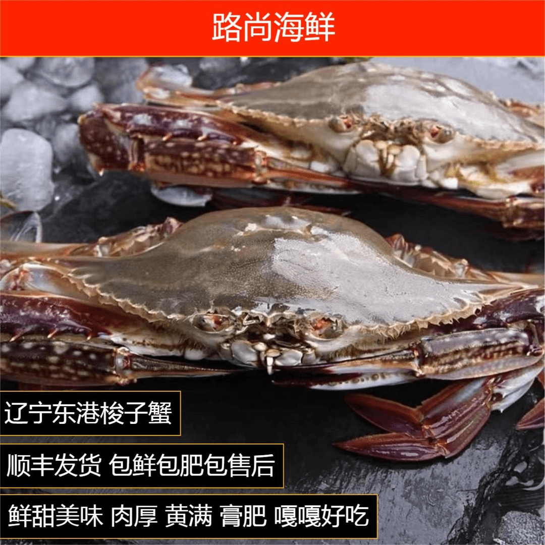 东港梭子蟹 小公【包鲜 包肥 不包活 不包腿全】
