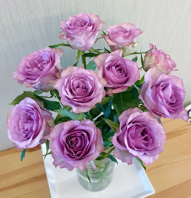 鲜花【梦金鹏紫霞仙子】同一地址两单顺丰包邮+送尤加利叶或洋甘菊