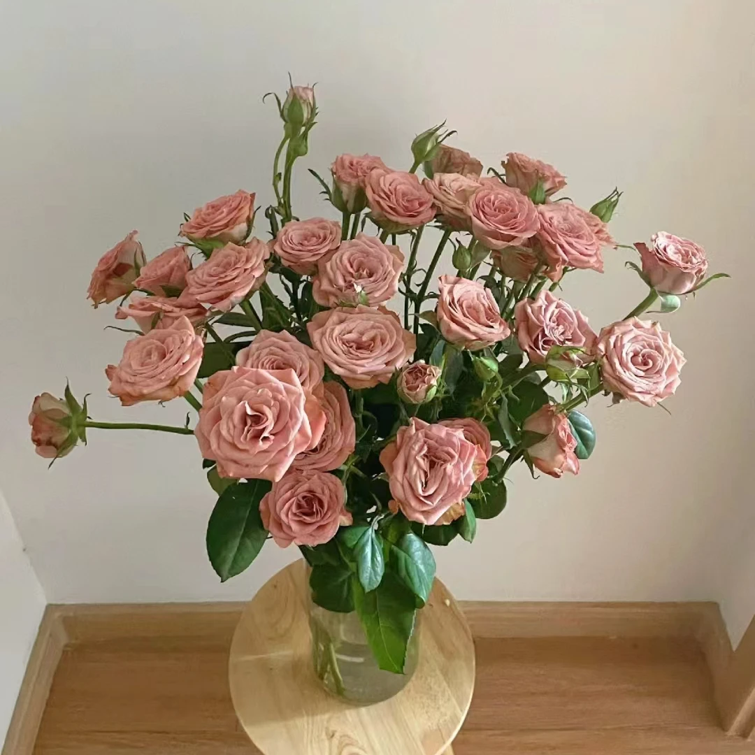 鲜花【多头卡布奇诺】家庭同一地址两单京东或德邦送货上门+配草1扎
