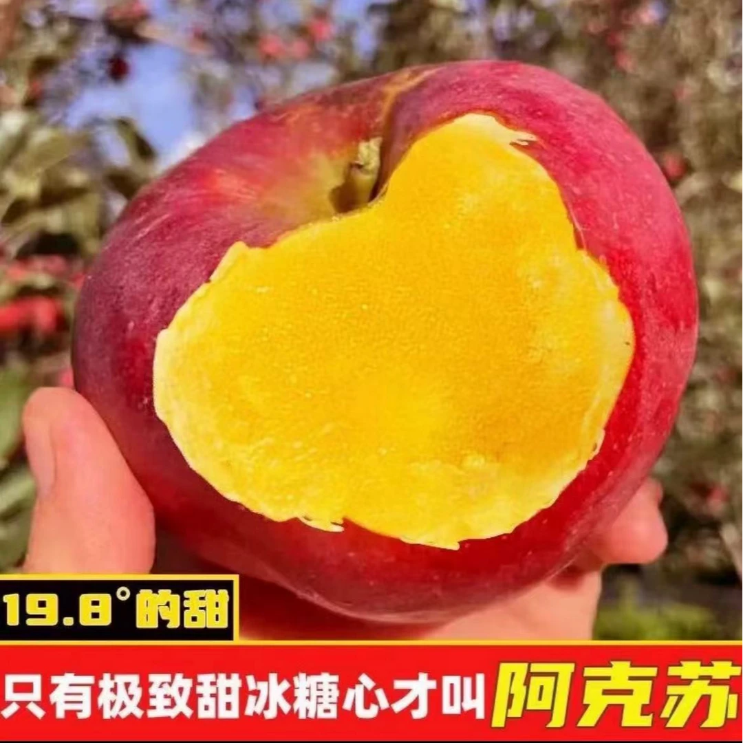 【大降价】正宗新疆阿克苏冰糖心红富士苹果新鲜水果脆甜整箱宠粉