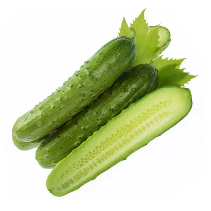 东北旱黄瓜3斤起包邮(海南三亚不发货)