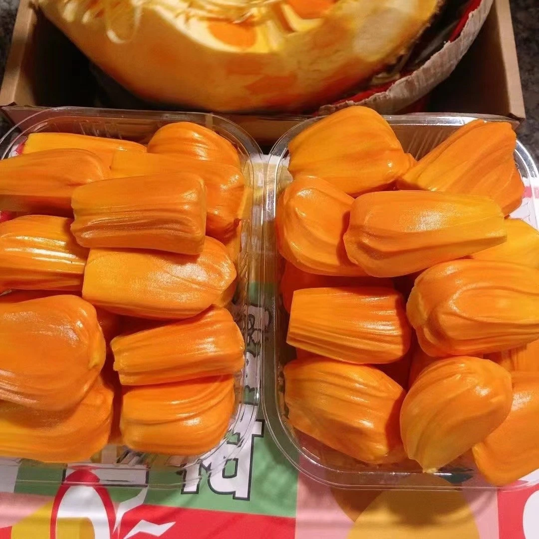 越南印尼红红肉菠萝蜜