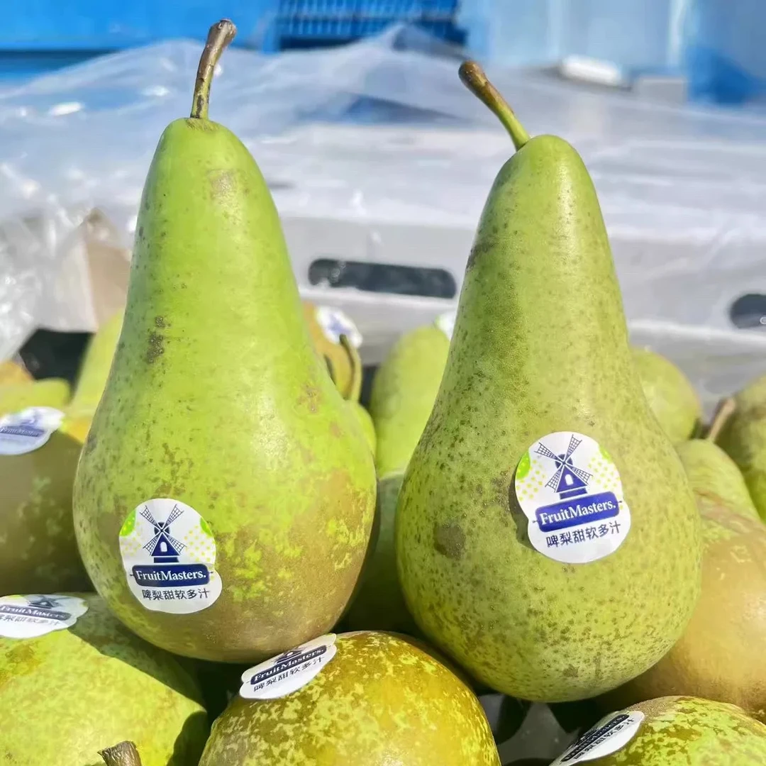 【软糯顺滑】荷兰进口青啤梨 软甜多汁 新鲜孕妇宝宝辅食软糯香甜