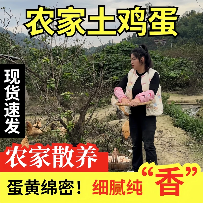 【牧疆农场散养土鸡蛋】农场正宗现捡果树底下散养新鲜的土鸡蛋