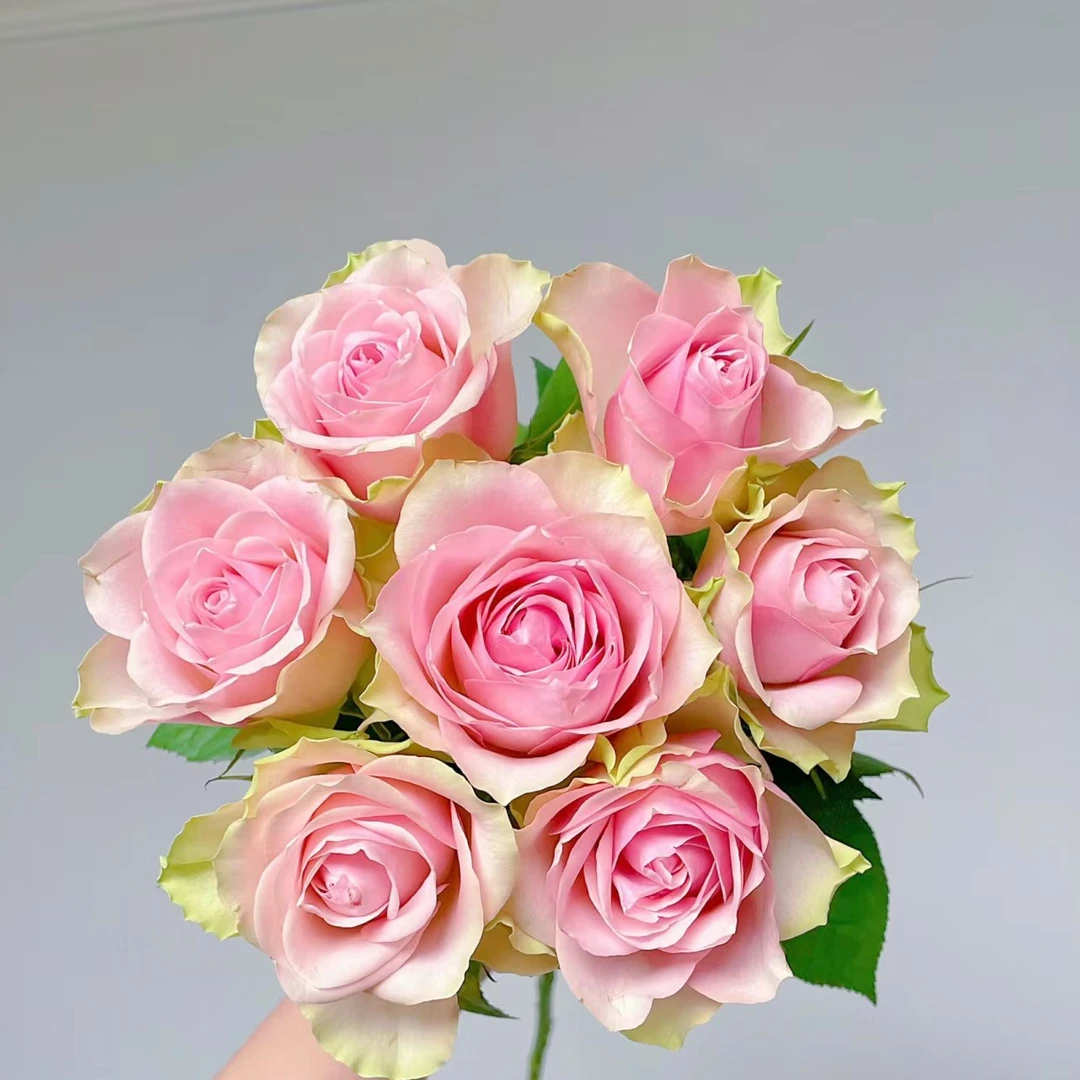 【大头】早市晚市鲜花走播!(百分之二十不售后,介意勿拍)