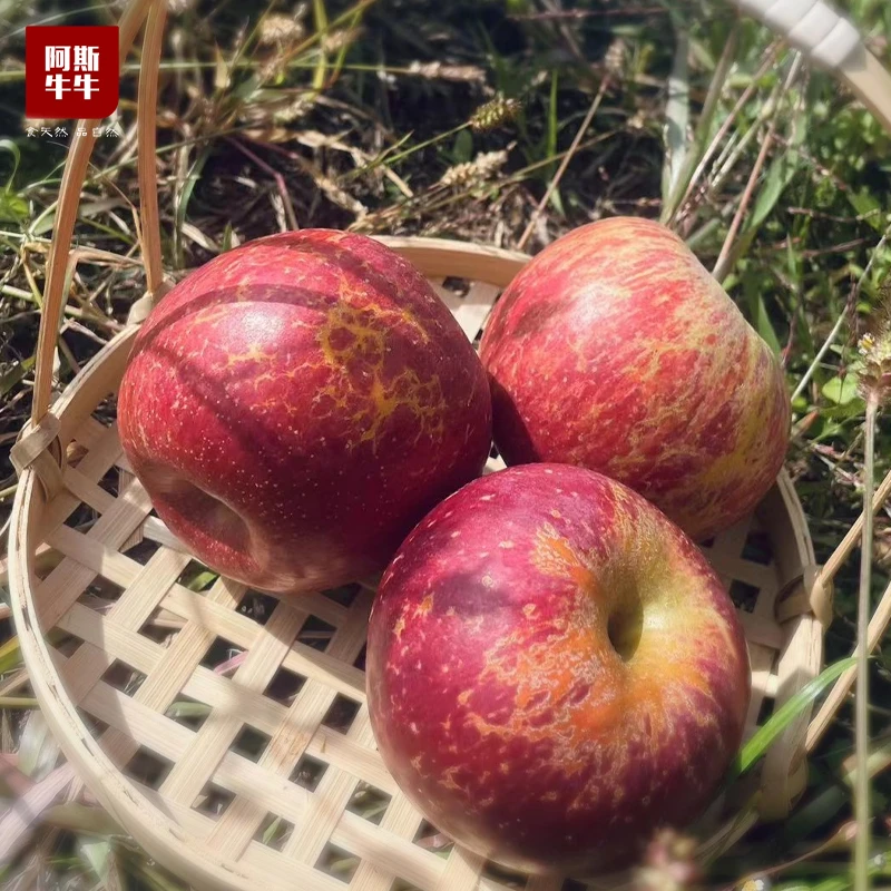 四川大凉山盐源糖心丑苹果香脆多汁可口当季整箱水果