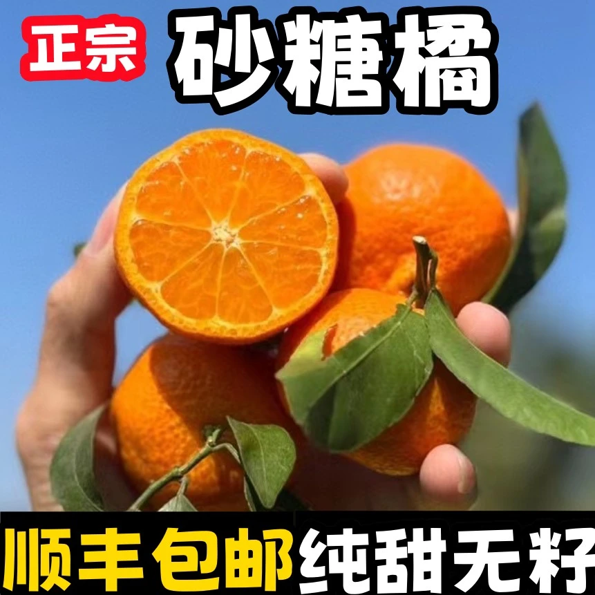 【顺丰】现摘正宗云南金秋砂糖橘5斤高山蜜橘子新鲜水果皮薄无籽