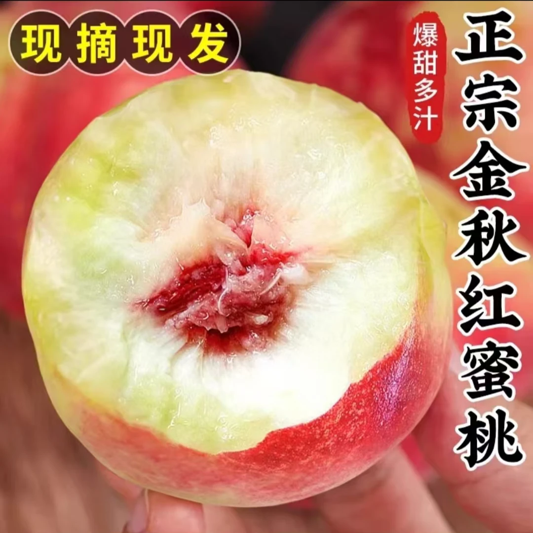 正宗山东金秋红蜜桃秋桃脆甜毛桃子当季新鲜水果现摘现发礼盒包邮