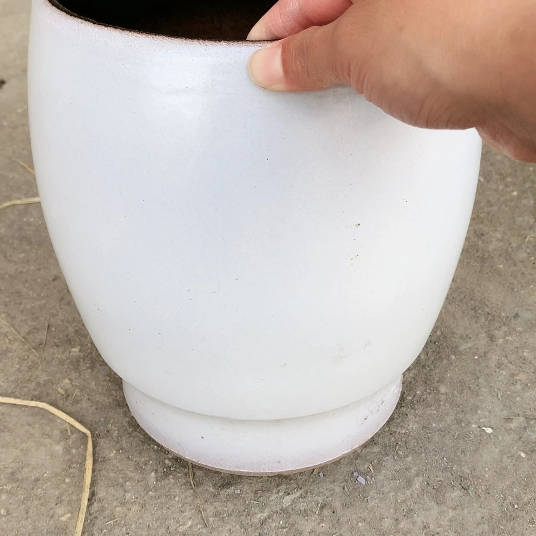 红陶20CM（含）-50CM（不含）口19高24