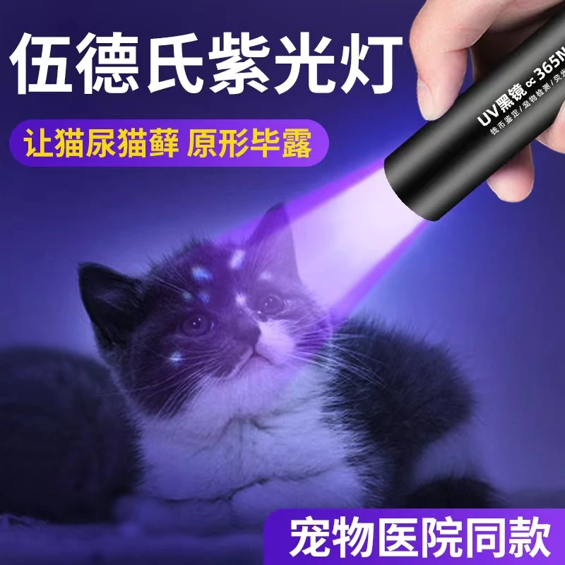 伍德氏灯照猫藓尿手电筒紫外线萤光剂UV固化美甲笔验钞紫光灯专用